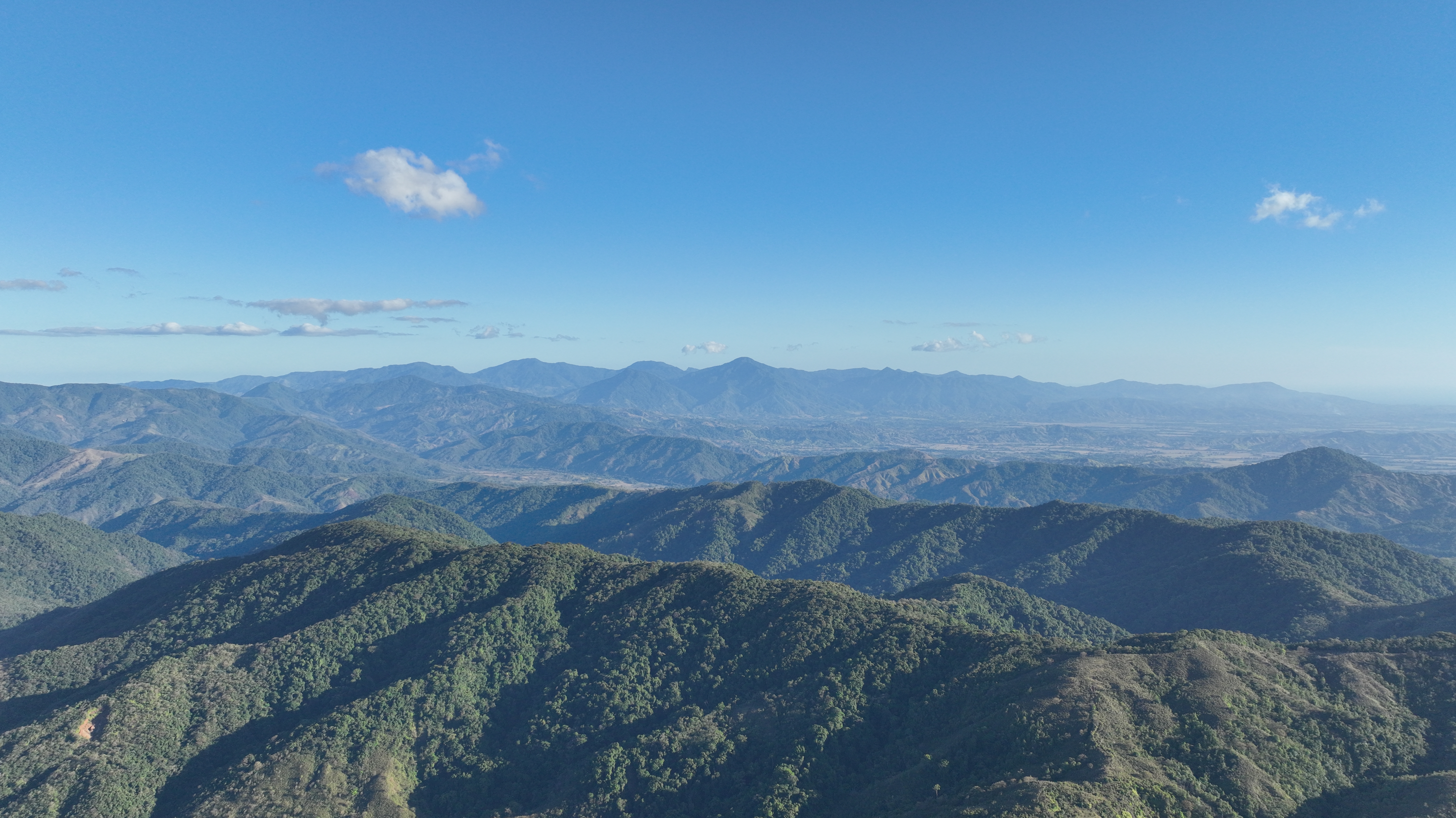 Reforestación en Darién